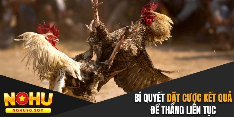 Bí quyết đặt cược kết quả để thắng liên tục
