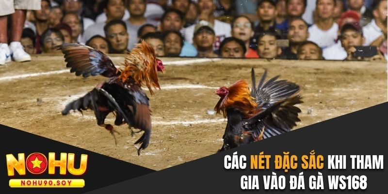 Các nét đặc sắc khi tham gia vào đá gà Ws168