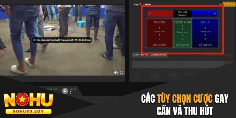 Các tùy chọn cược gay cấn và thu hút trên nền tảng