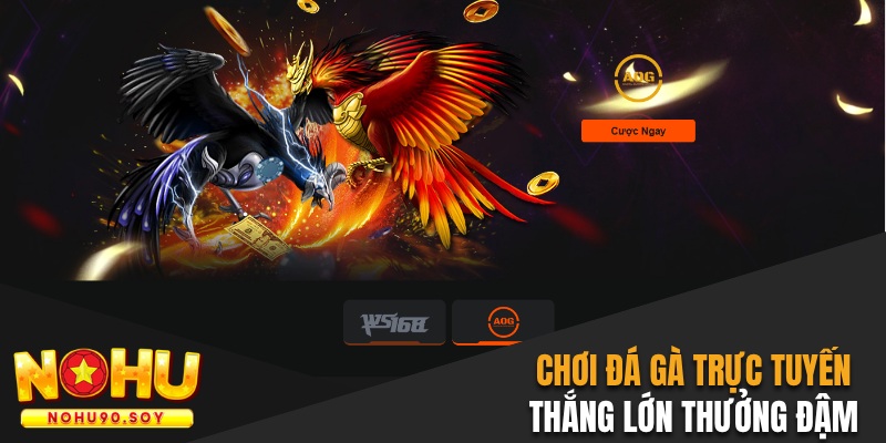 Chơi đá gà trực tuyến