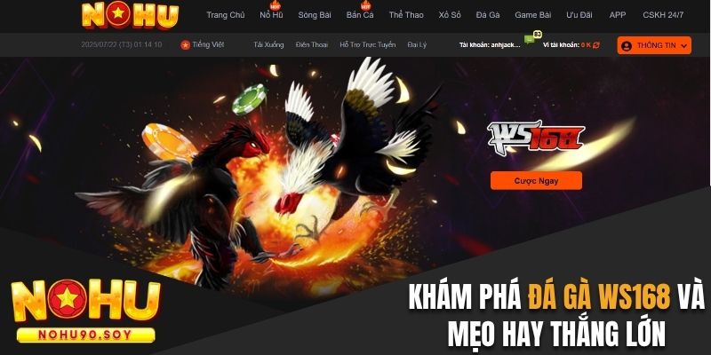 Đá gà Ws168