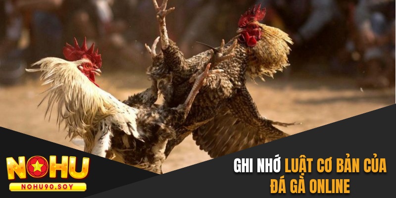 Ghi nhớ luật cơ bản khi tham gia đá gà online