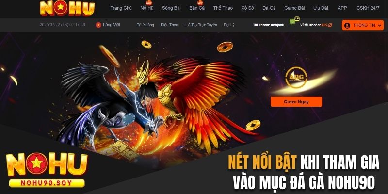 Nét nổi bật khi tham gia vào mục đá gà Nohu90